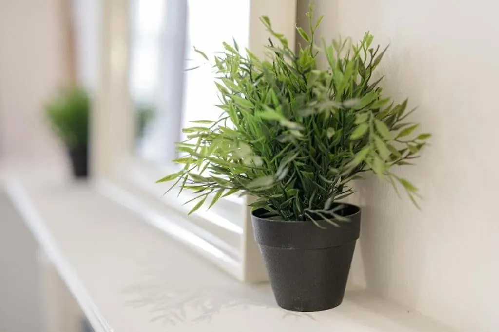 Central Wroclaw Apartment - City Center - Bright And Cozy - U11 Poland